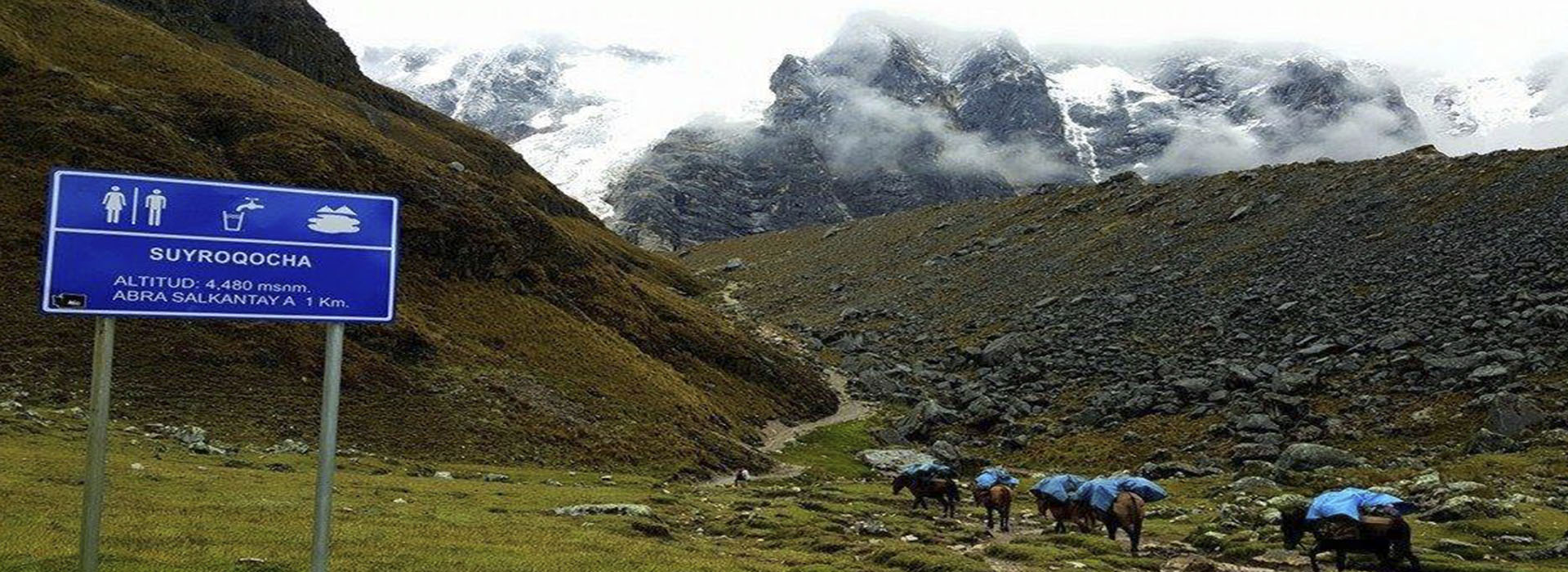 Salkantay Trek to Machu Picchu 4 days return by bus last day