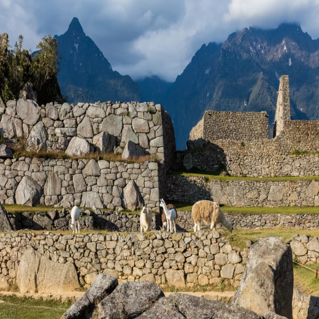 Machu Picchu Cost Breakdown