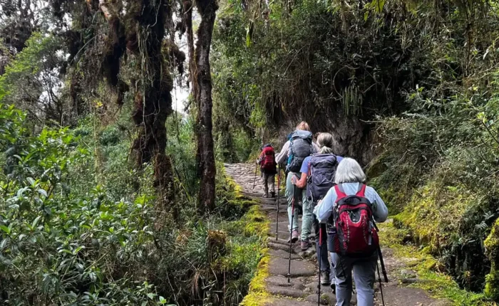 Oki Doki Travel Peru