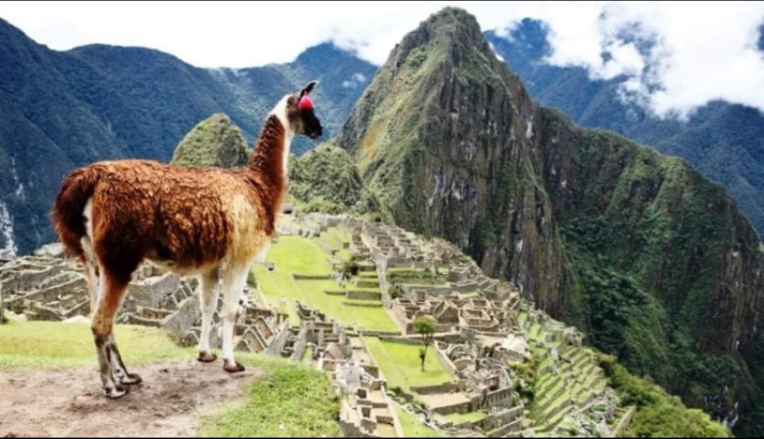 Tours Machupicchu by Bus (2 Days)